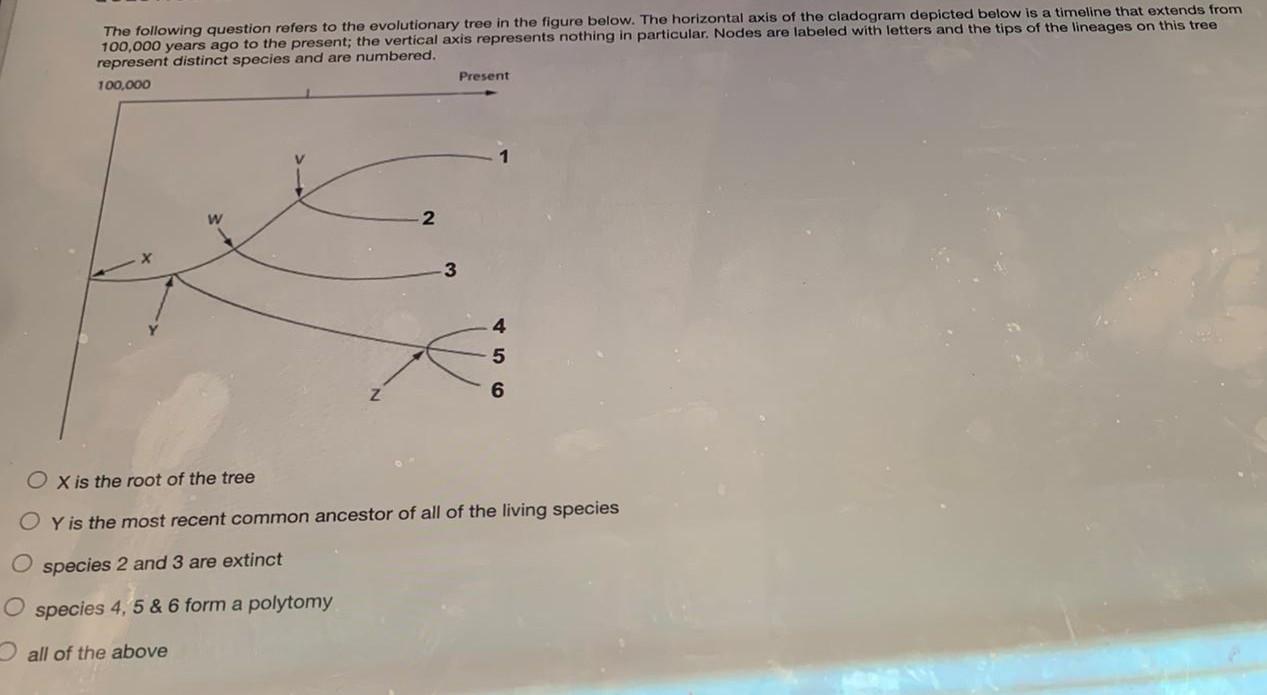 Solved The Following Question Refers To The Evolutionary