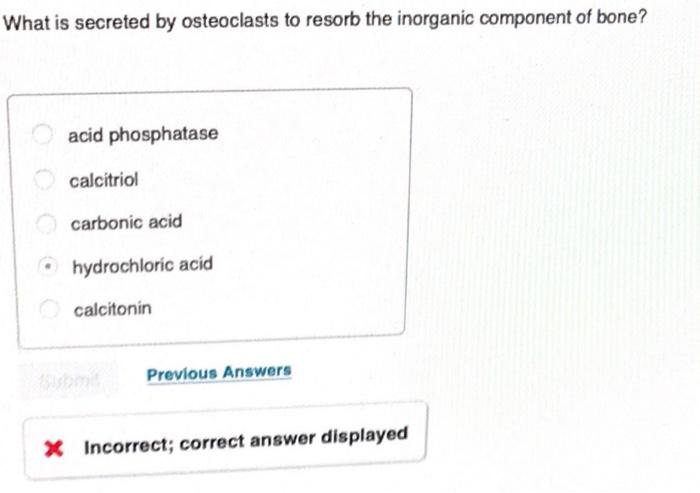 Solved What Is Secreted By Osteoclasts To Resorb The Chegg Com