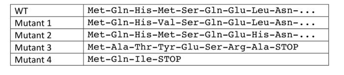 You have isolated four different mutant alleles of an | Chegg.com