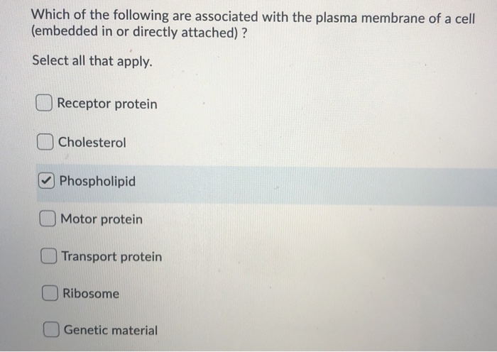 which of the following are not characteristics of the plasma membrane? select all that apply.