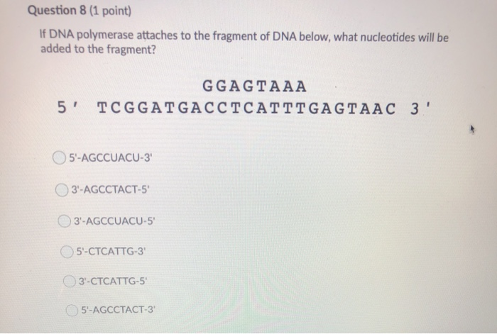 Solved Question 8 (1 point) If DNA polymerase attaches to | Chegg.com