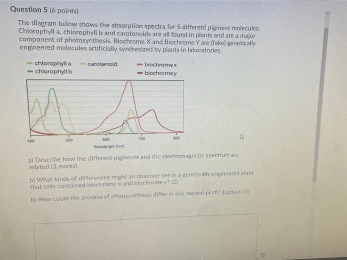 Solved Question 5 (6 points) The diagram below shows the | Chegg.com
