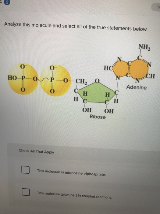 Solved S Analyze this molecule and select all of the true | Chegg.com