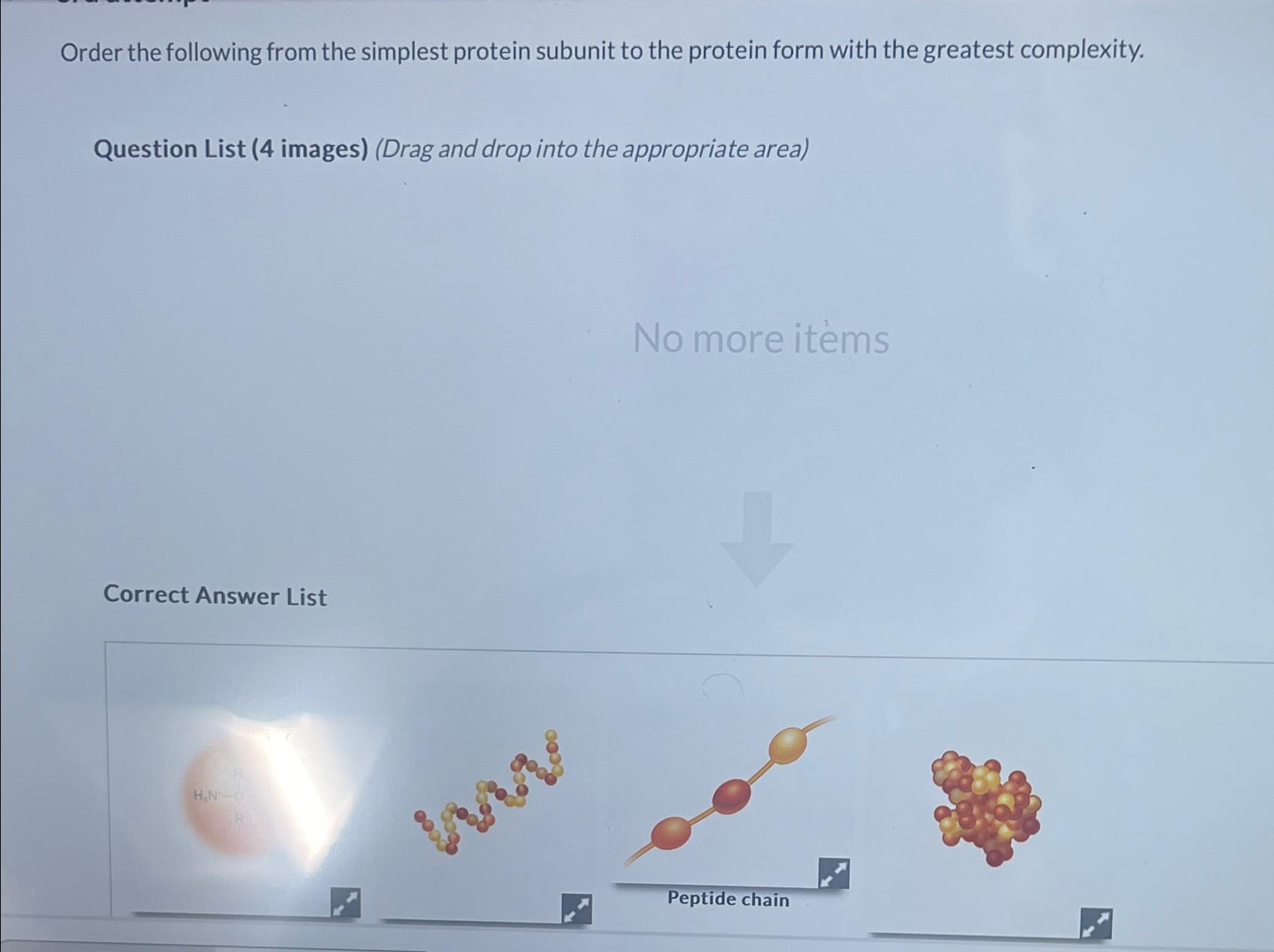 what is simplest form of protein