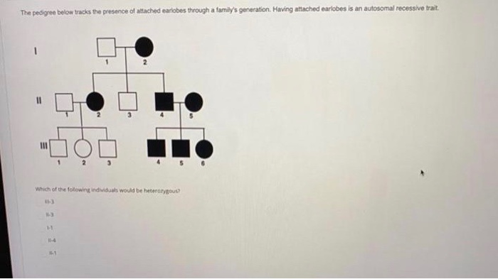 Solved The pedigree below tracks the presence of attached | Chegg.com