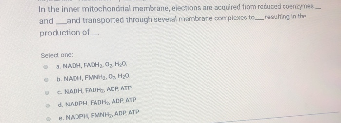 Solved In the inner mitochondrial membrane, electrons are | Chegg.com