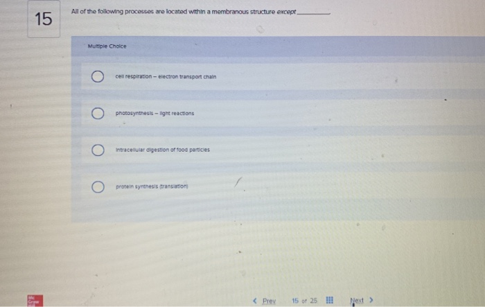 Solved All of the following processes are located within a | Chegg.com