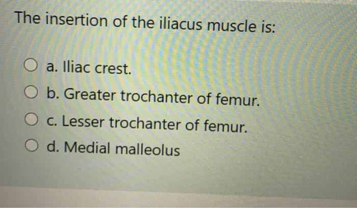 The insertion of the iliacus muscle is: O a. Iliac crest. O b. Greater trochanter of femur. c. Lesser trochanter of femur. O