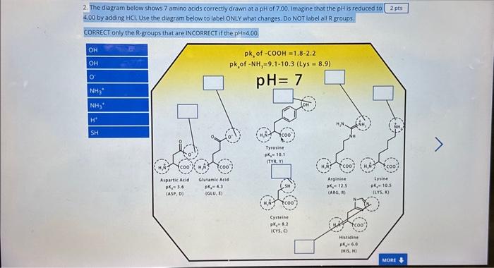 Solved 2. The diagram below shows 7 amino acids correctly | Chegg.com