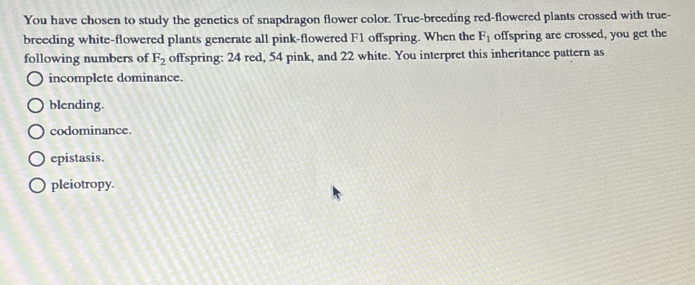 Solved You have chosen to study the genetics of snapdragon | Chegg.com
