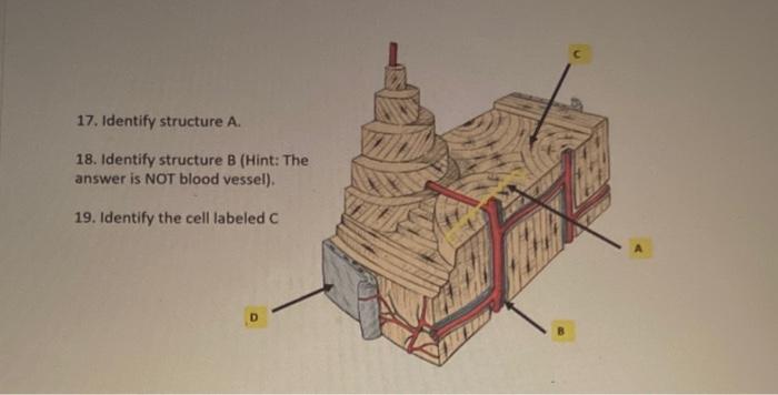 Solved 1. Identify Structure A2. Identify structure B (not a | Chegg.com