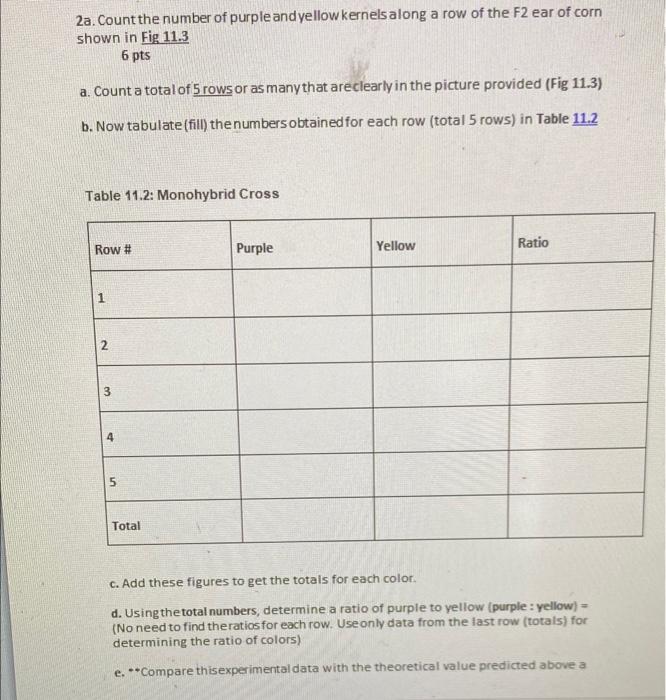 2a. Count the number of purple and yellow kernels Chegg