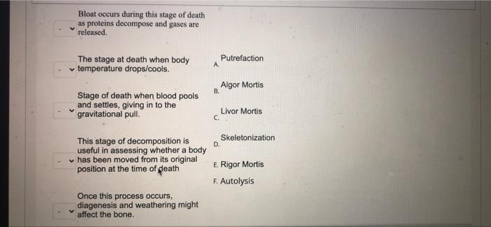 Solved Bloat occurs during this stage of death as proteins | Chegg.com