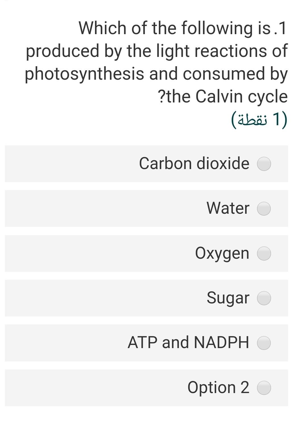 solved-which-of-the-following-is-1-produced-by-the-light-chegg