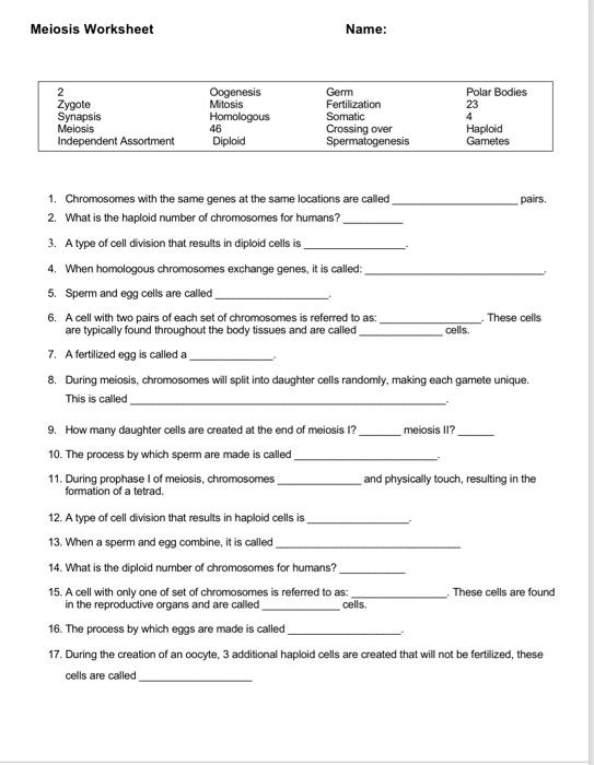 Solved Meiosis Worksheet Name: 1. Chromosomes with the same | Chegg.com