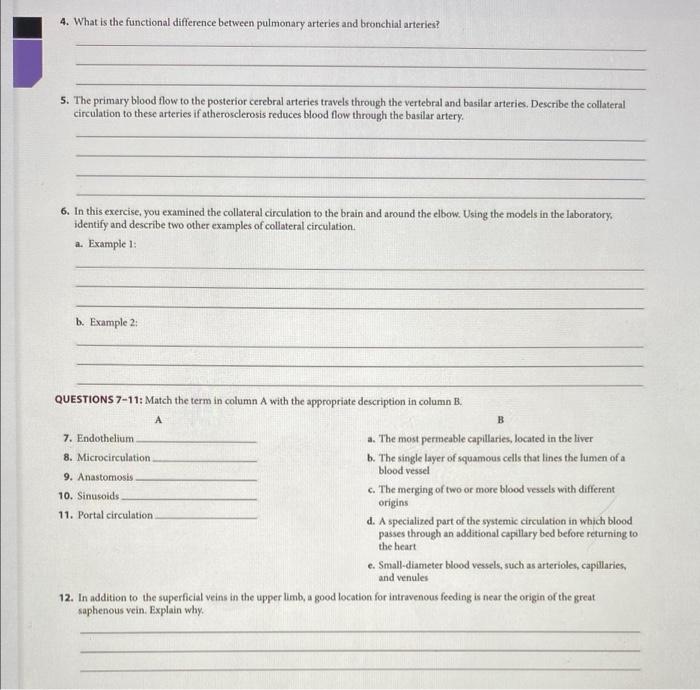 Solved 1. Describe the main structural difference between | Chegg.com