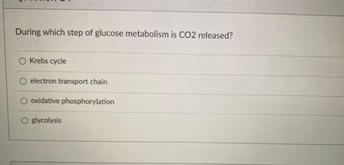 Solved During which step of glucose metabolism is CO2 | Chegg.com