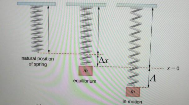 Solved natural position of spring x=0 m equilibrium ME А A m | Chegg.com