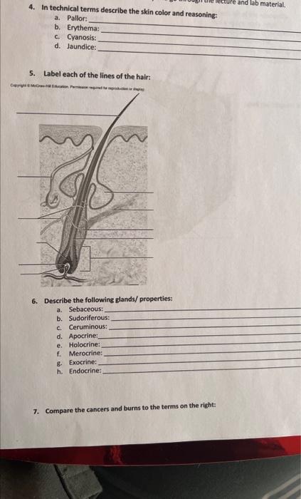 Solved 4. In technical terms describe the skin color and | Chegg.com