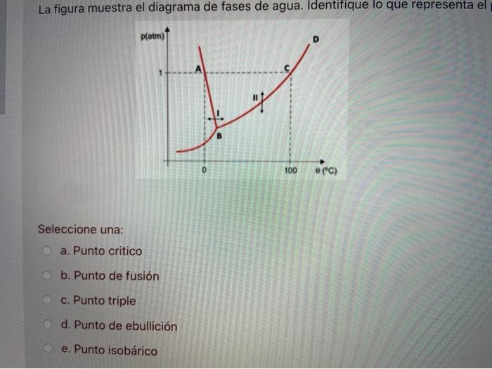 Solved 27. The figure shows the phase diagram of water. | Chegg.com