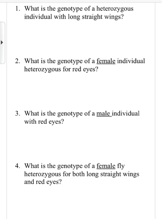 1. What is the genotype of a heterozygous individual | Chegg.com