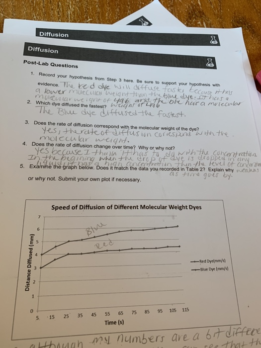 solved-diffusion-diffusion-post-lab-questions-1-record-your-chegg