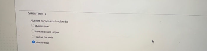 Solved QUESTION 2 Alveolar consonants involve the alveolar | Chegg.com