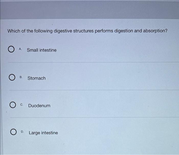 Solved Which digestive accessory organ secretes enzymes that