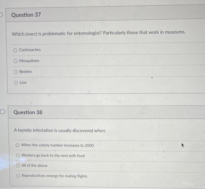 A Termite Infestation is Usually Discovered When the Damage is Severe