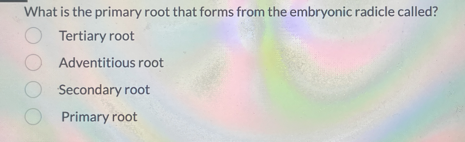 Solved What is the primary root that forms from the | Chegg.com