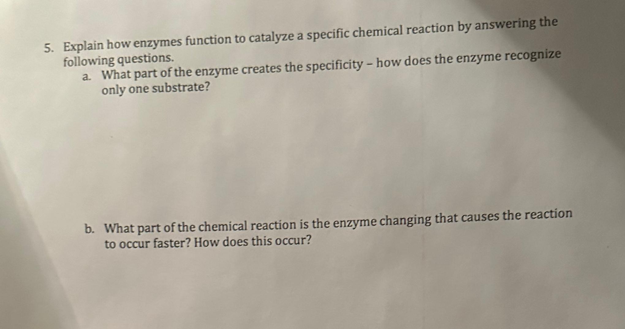 Solved Explain how enzymes function to catalyze a specific | Chegg.com