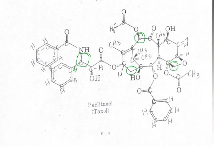 Solved Paclitaxel (Taxol) | Chegg.com