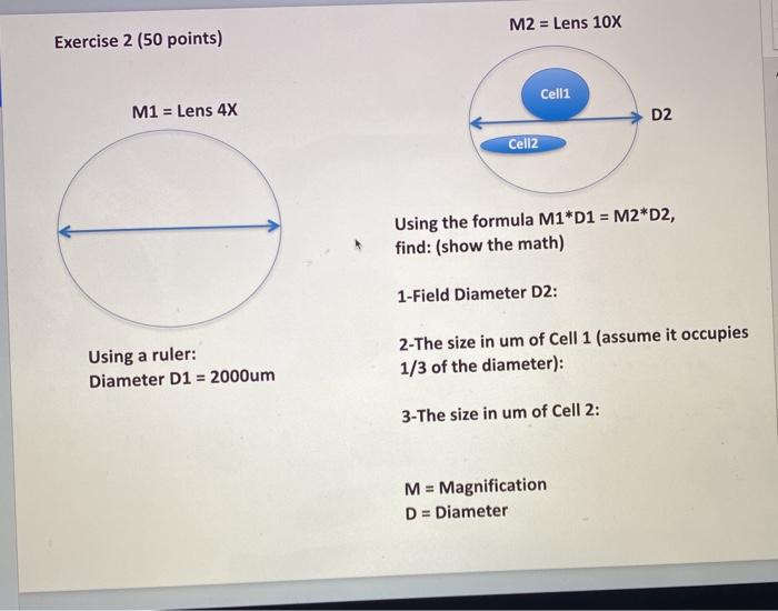 M2 = Lens 10X Exercise 2 (50 points) Celli M1 = Lens 4x D2 Cell2 Using the formula M1*D1 = M2*D2, find: (show the math) 1-Fie