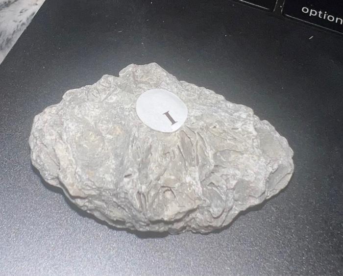 Solved 13. Fill out Table 3. the Sedimentarv