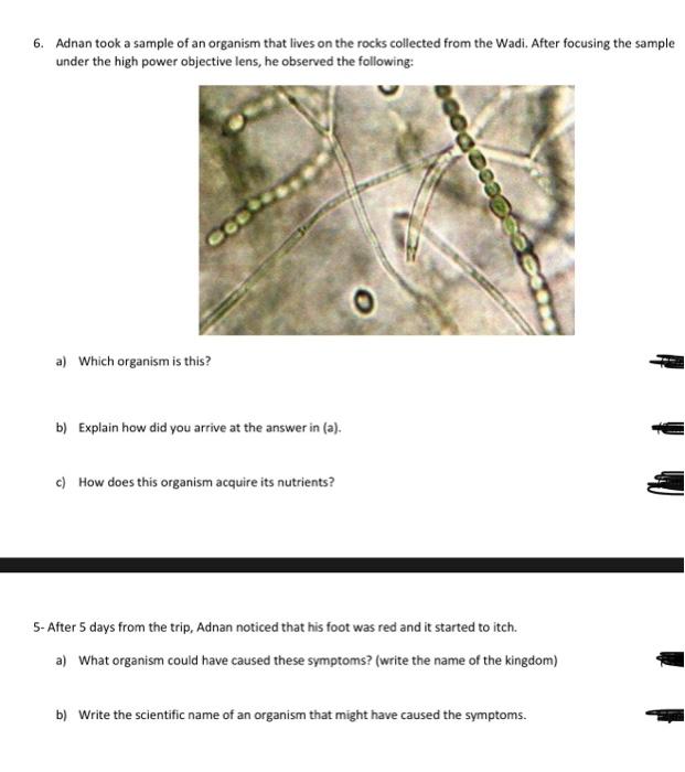 Solved 6. Adnan took a sample of an organism that lives on | Chegg.com
