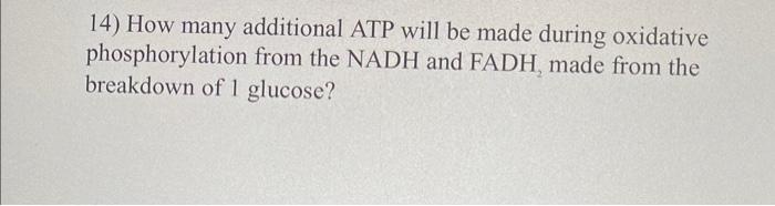 Solved How many additional ATP will be made during oxidative | Chegg.com