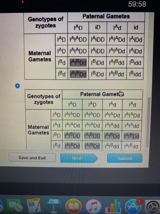 Solved The Locus That Controls ABO Blood Type In Humans | Chegg.com