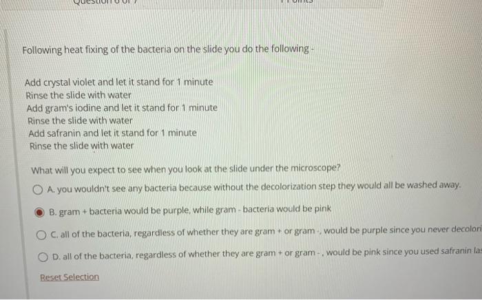 Solved Following heat fixing of the bacteria on the slide | Chegg.com