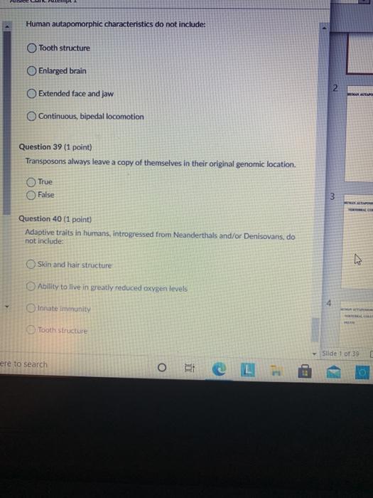 Solved Human autapomorphic characteristics do not include: | Chegg.com