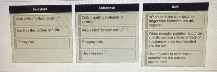 Solved Classify The Following Statements As Applying To The Chegg Com