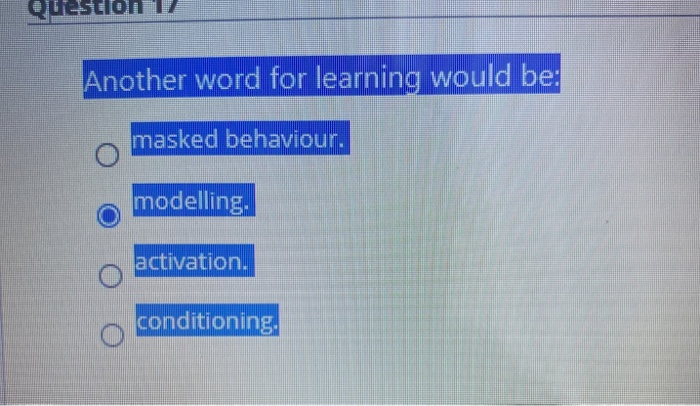 another word for learning on the job