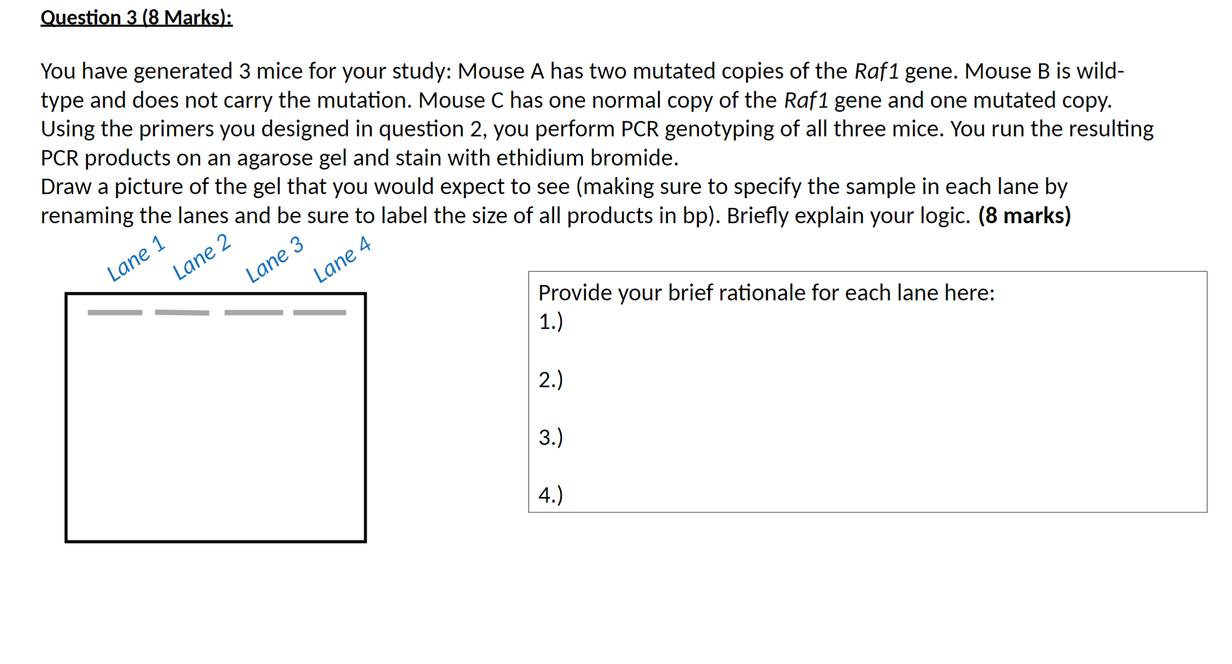 Solved Question 3 (8 ﻿Marks):You have generated 3 ﻿mice for | Chegg.com