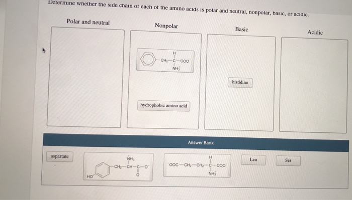 Solved Determine whether the side chain of each of the amino | Chegg.com