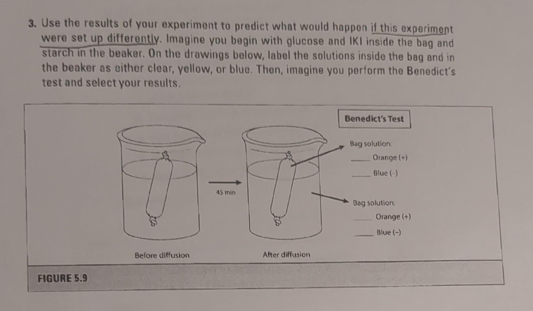 Solved 3. Use the results of your experiment to predict what | Chegg.com