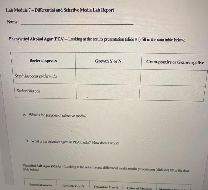Lab Module 7 - Differential And Selective Media Lab | Chegg.com