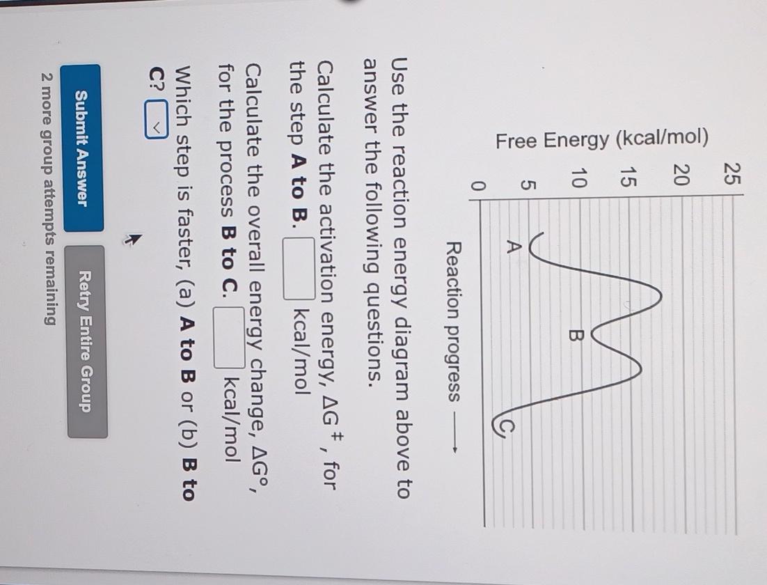 Solved Use the reaction energy diagram above to answer the | Chegg.com