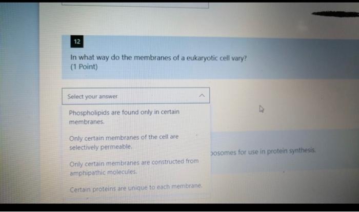 Solved 12 In what way do the membranes of a eukaryotic cell | Chegg.com