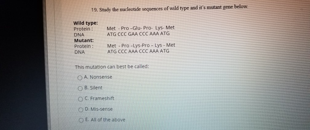 Solved 19. Study the nucleotide sequences of wild type and | Chegg.com