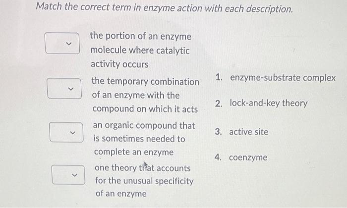 Solved Write the base sequence of the complementary strand | Chegg.com