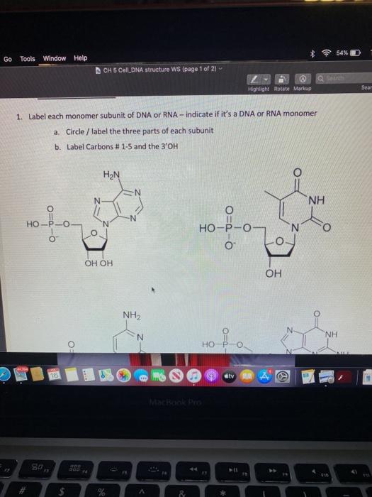 Solved 54% 3 Go Tools Window Help CH 5 Cell DNA structure WS | Chegg.com
